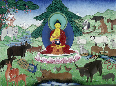 01 buddhas love for animals