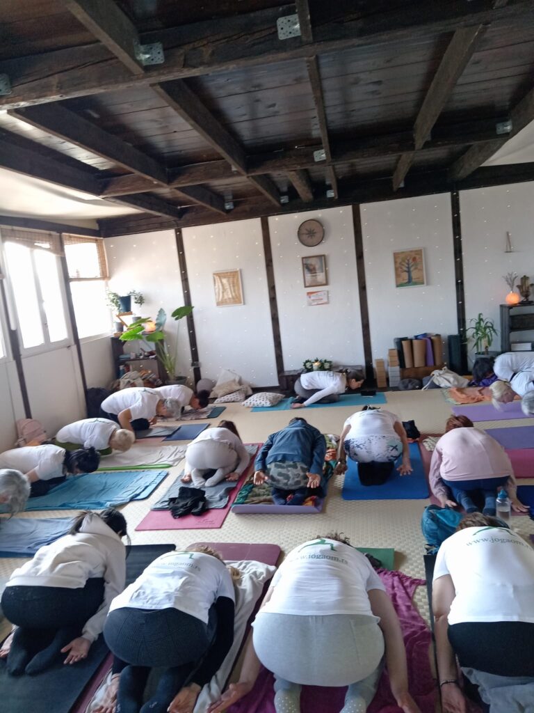 SDD Holi joga centar Februar 2026 (2)